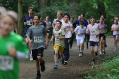 IMG_7379